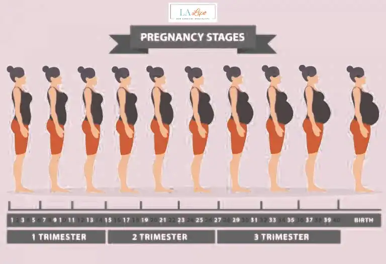 First Trimester (Weeks 1–12): Early Changes You Might Not Notice Ilford